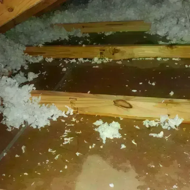 Attic Water Damage in Woodward County, OK