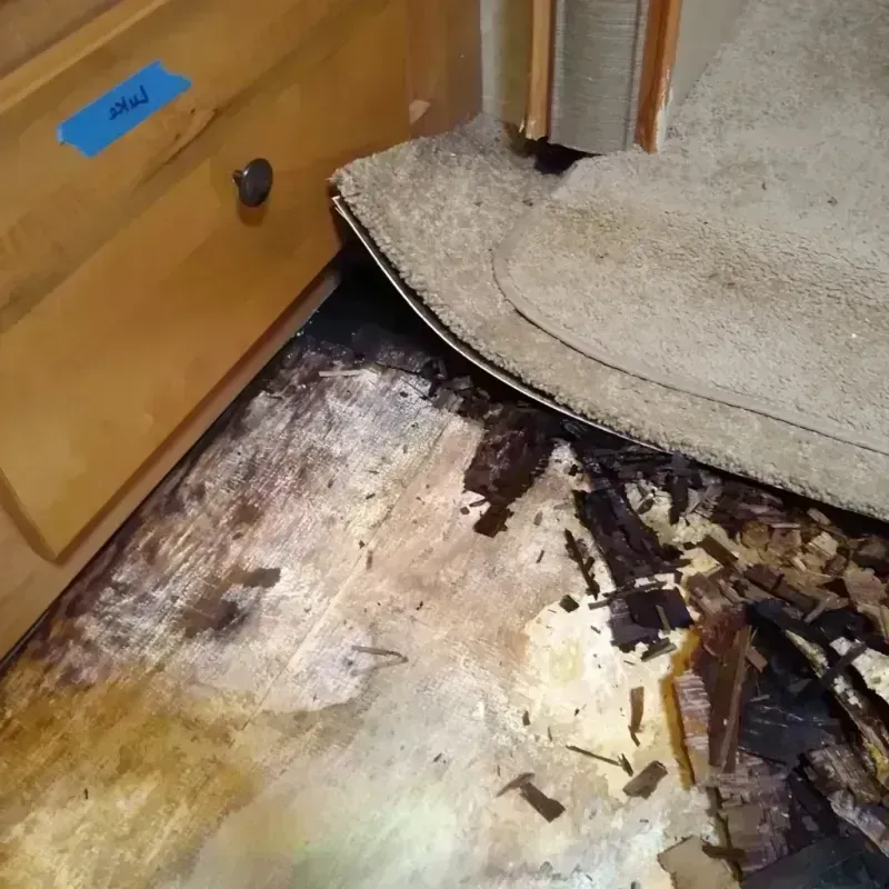 Wood Floor Water Damage in Woodward County, OK